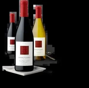 2019 Bien Nacido Vineyard Pinot Noir 750 Ml