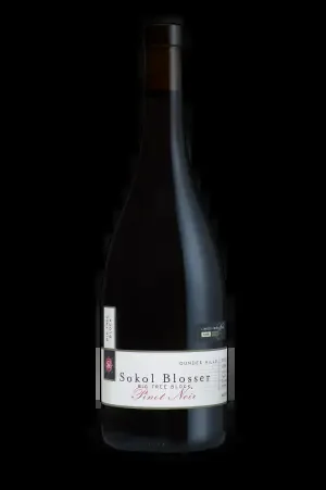 2019 Watershed Pinot Noir 750 ml