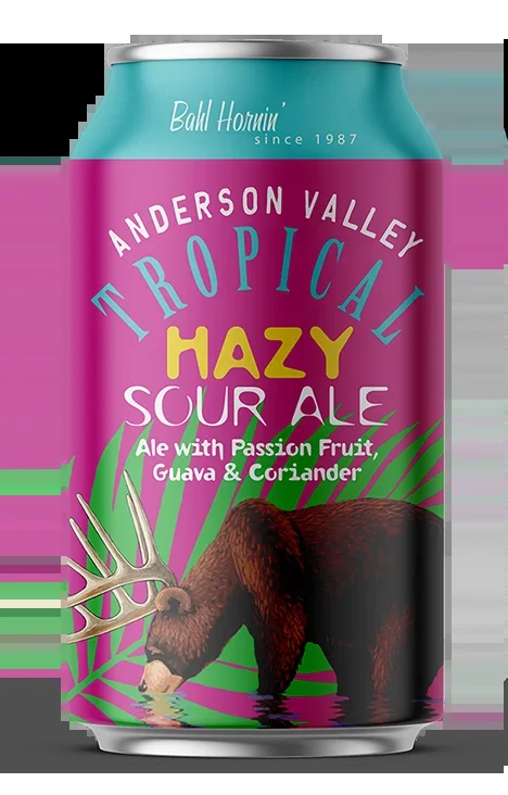 Anderson Valley Tropical Hazy Sour 6pk Cans