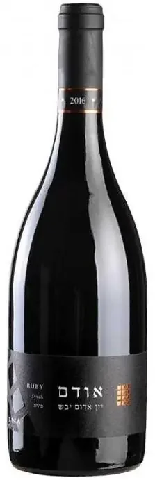 Binyamina Syrah Chosen Ruby 2016 750ml