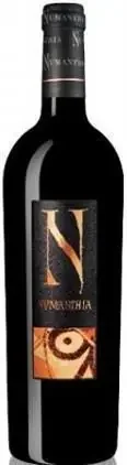 Bodega Numanthia Termes Toro Numanthia 2016 750ML