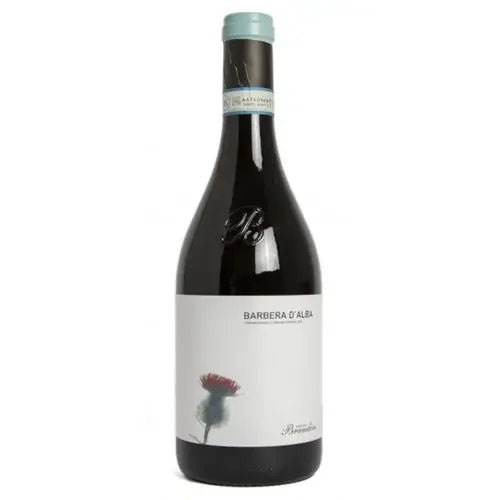 Brandini Barbera D‘Alba 2019 – 750ML