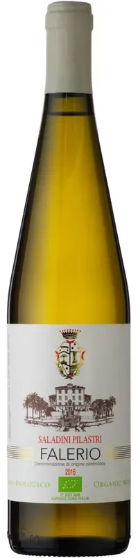 Saladini Pilastri Falerio 2019 750ml