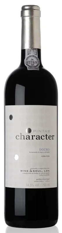 Wine & Soul Vinho Tinto Pintas Character 2018 750ml